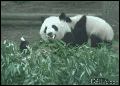 Don't f**k with me bro