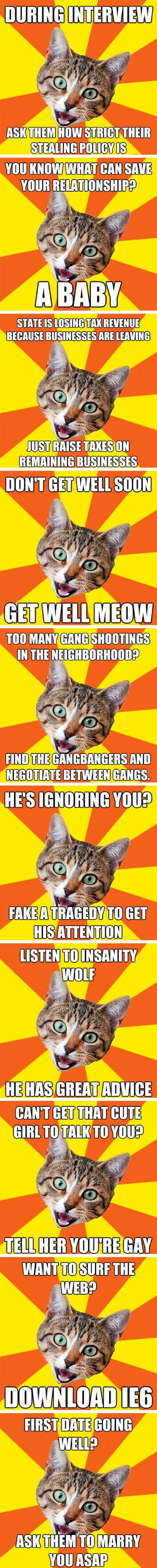 Bad Advice Cat