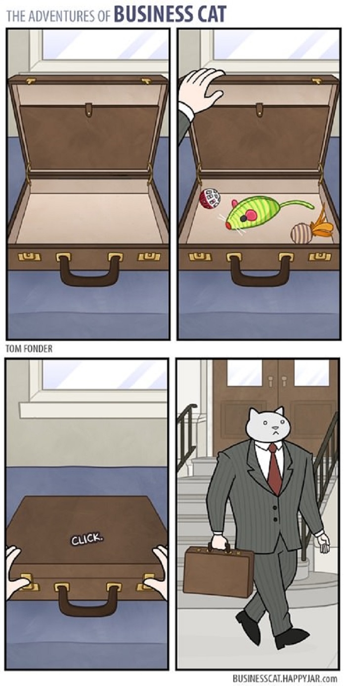 Business cat