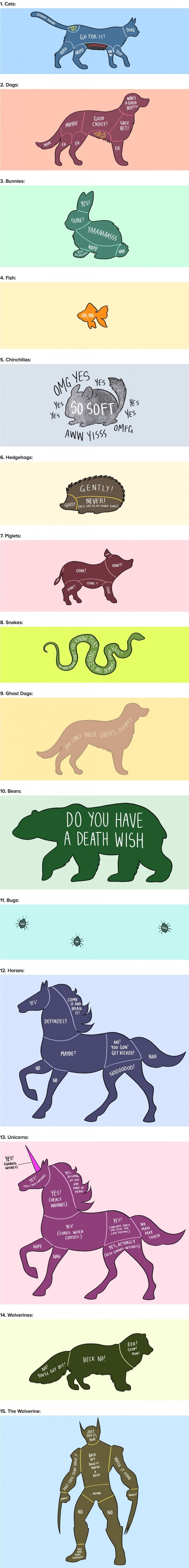 How to pet animals