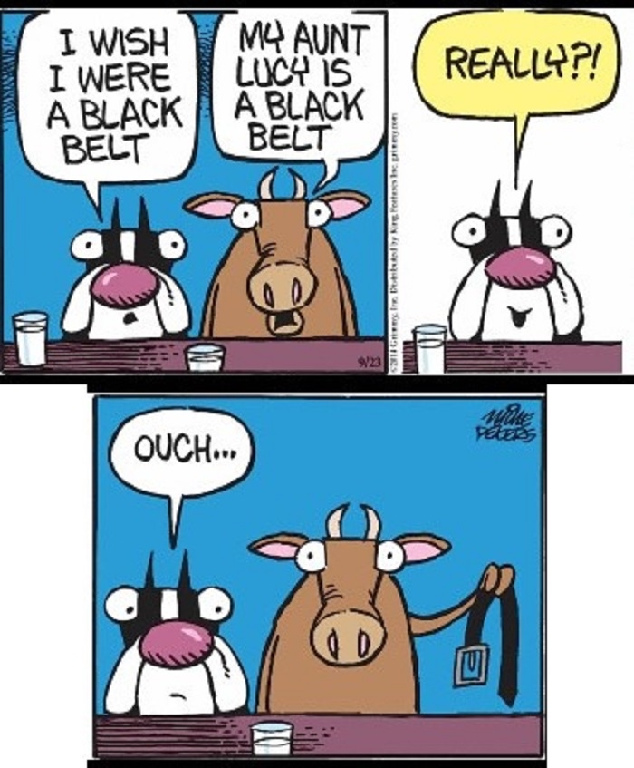 Aunt Lucy is a black belt