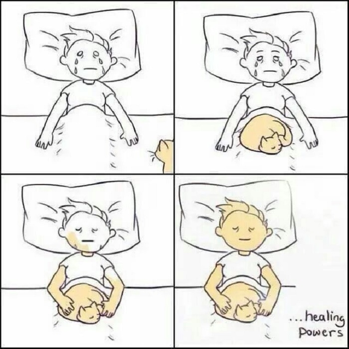 Cat power Activate!