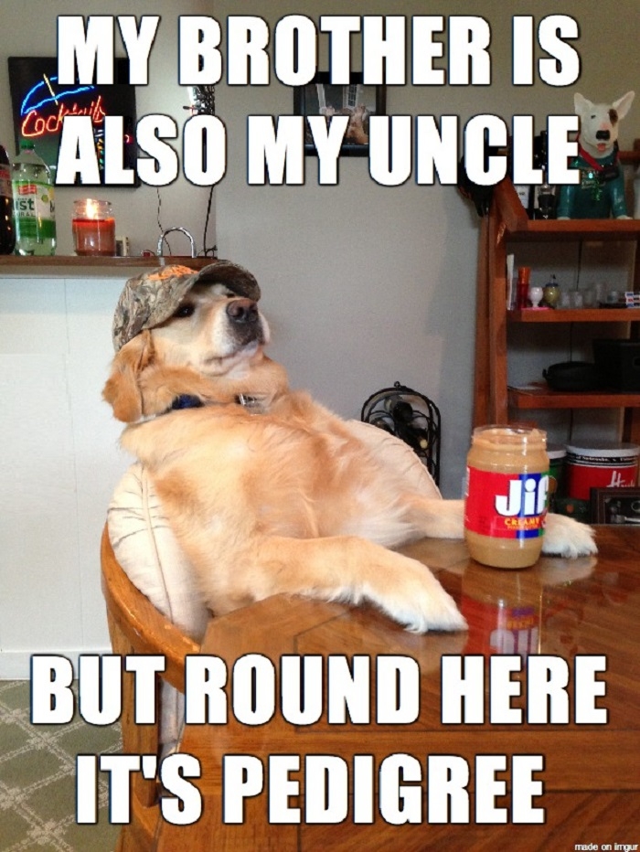 Redneck retriever family