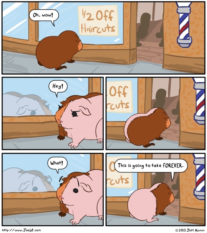 1/2 off hair cuts