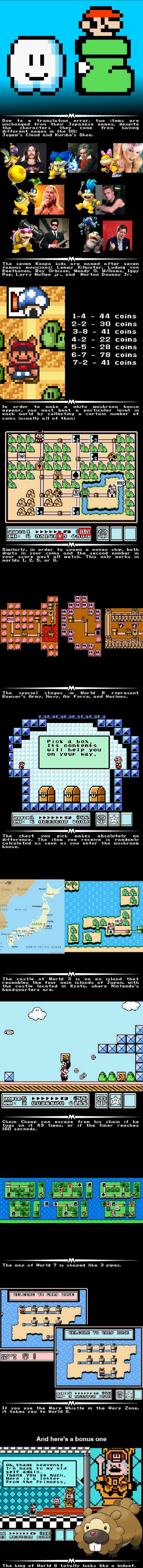 Super Mario Bros 3 Facts