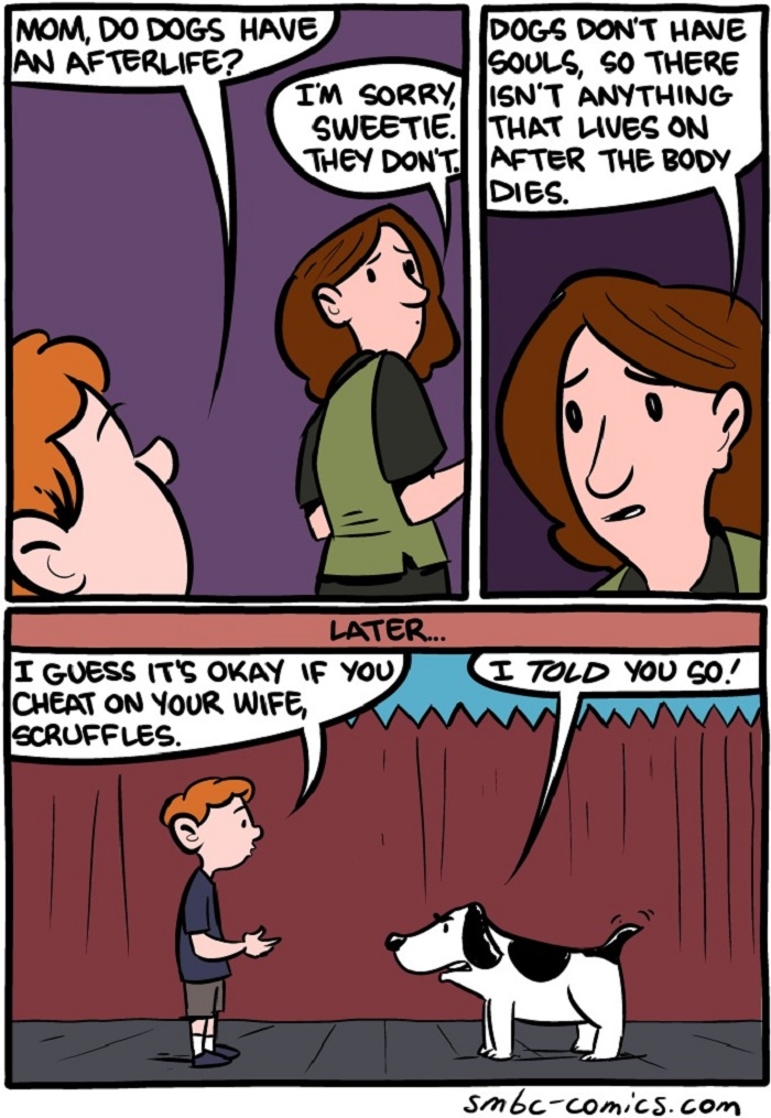 Dog afterlife