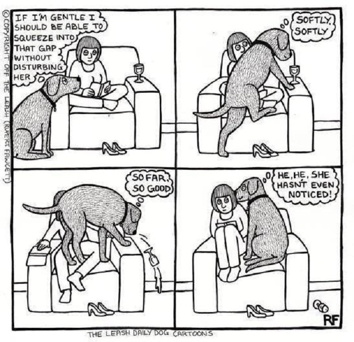 Big dogs