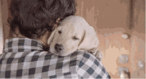 Don't drink and drive