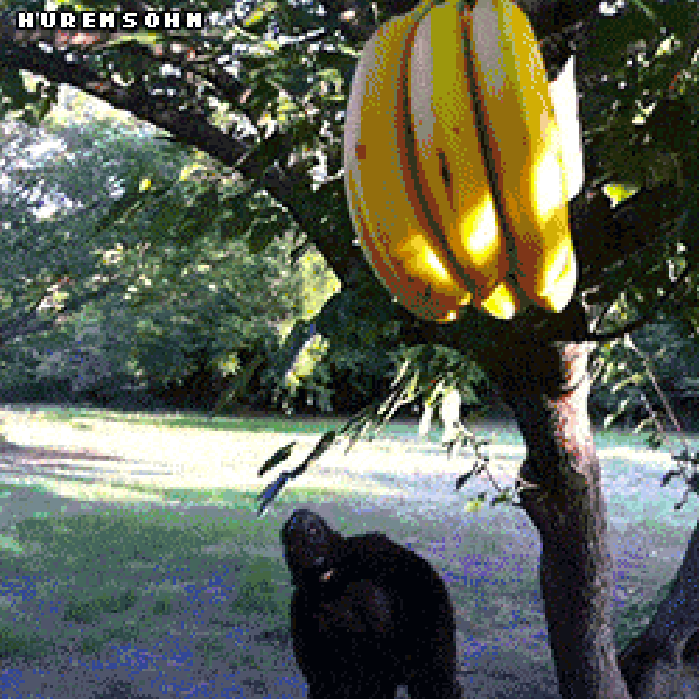 Father protecting his children