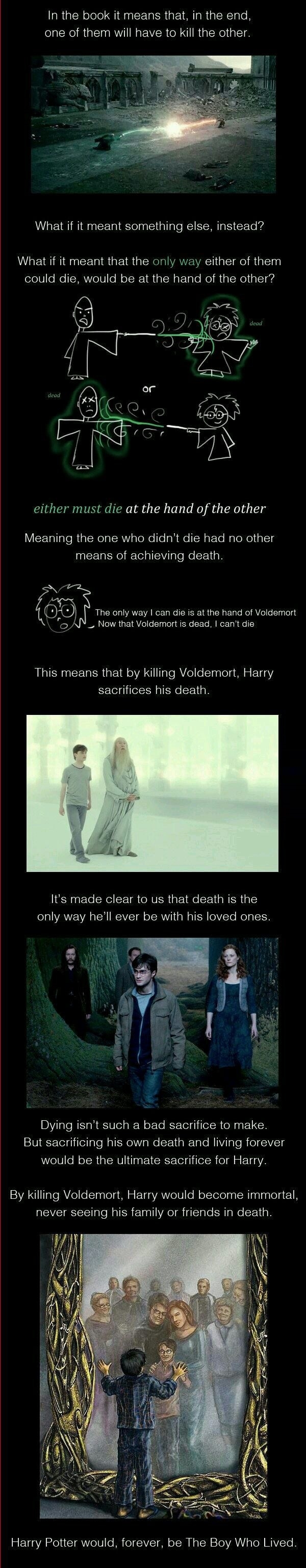 For Harry Potter fans