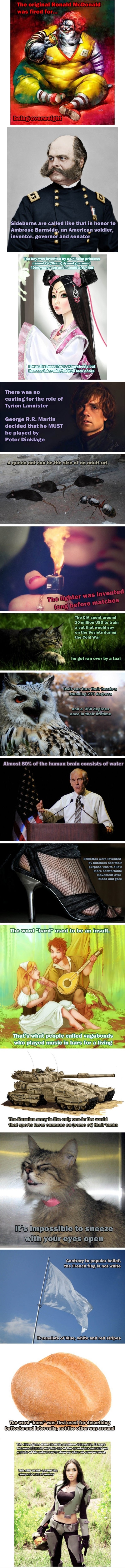 Get your fact fix