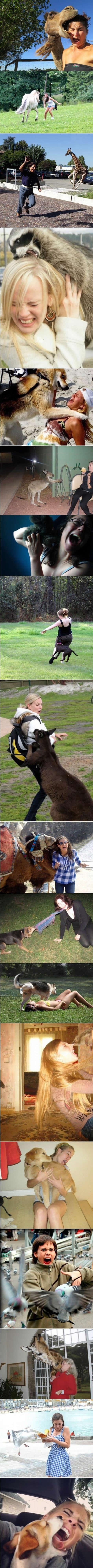 Girls vs. animals