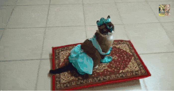 Going on an adventure!