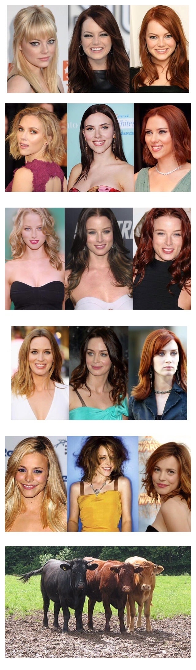 Ginger, brunette or blonde?