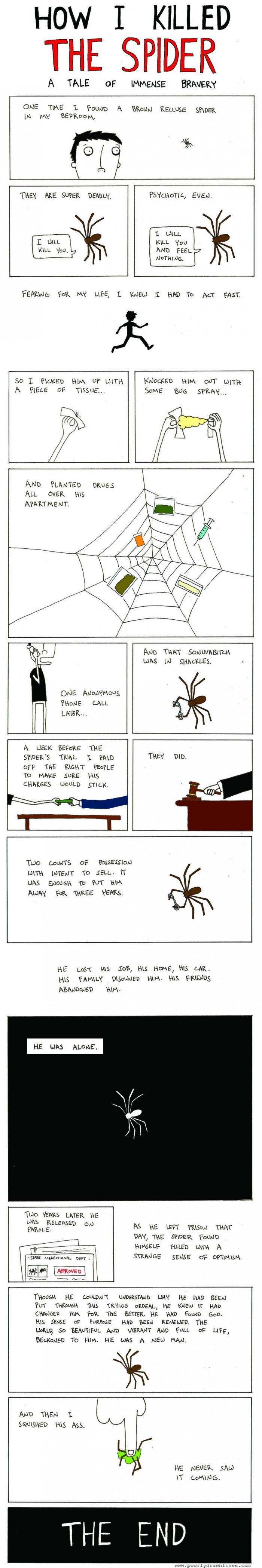 How I killed the spider