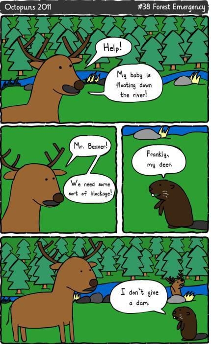 Beaver pls