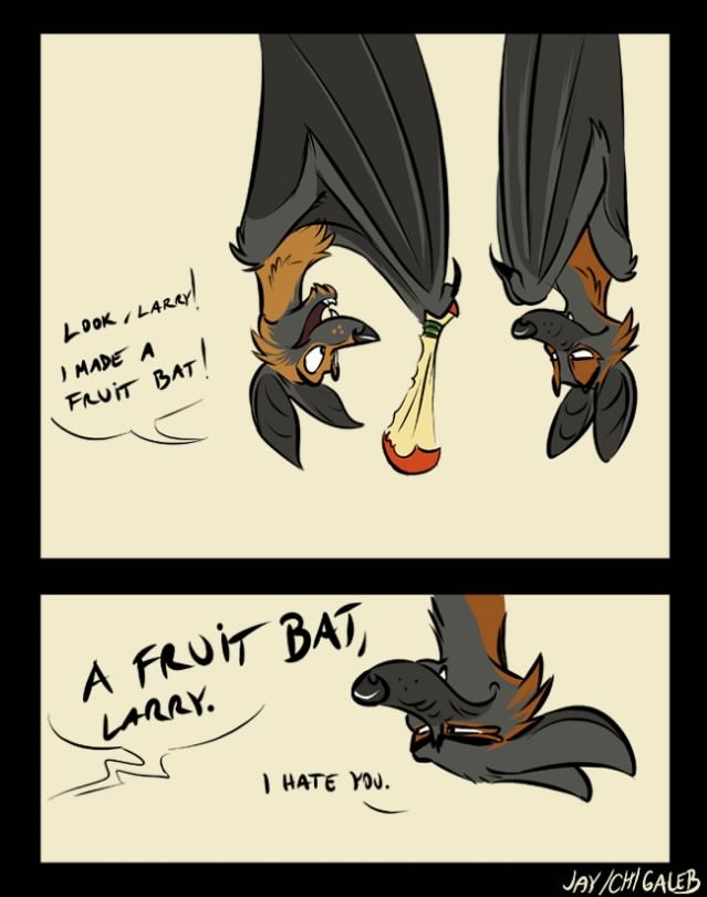 Fruit Bats