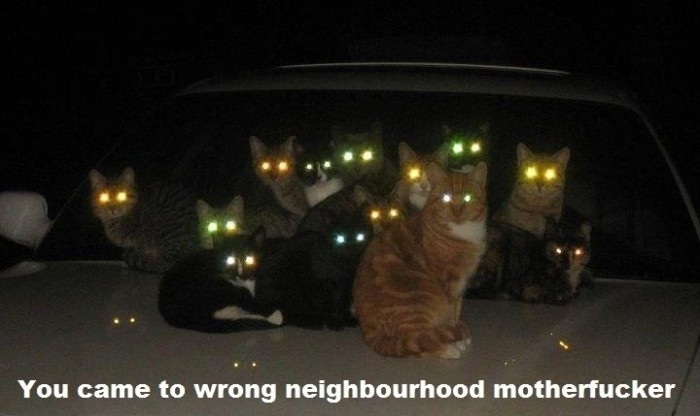 Wrong neighbourhood