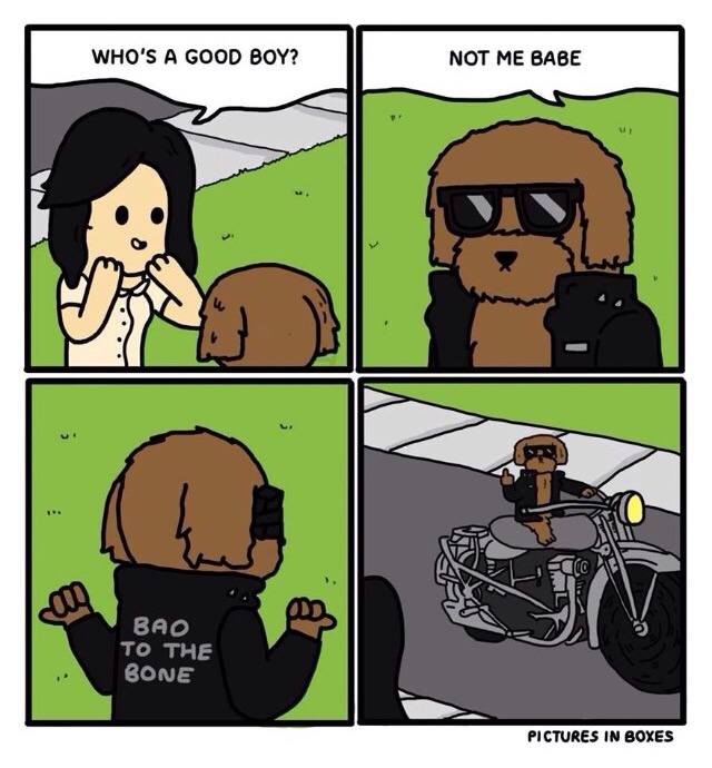 Bad to the bone