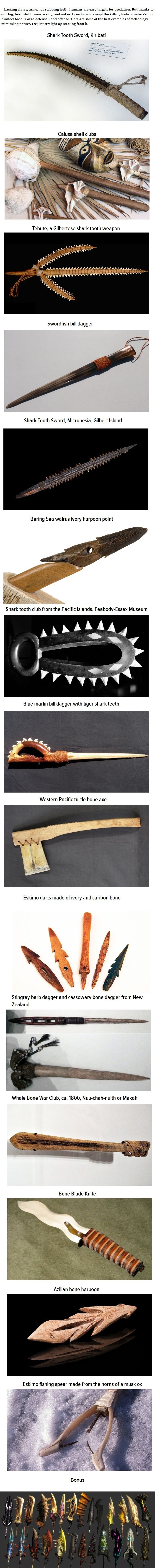 Human weapons