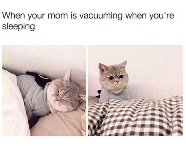 Every saturday morning