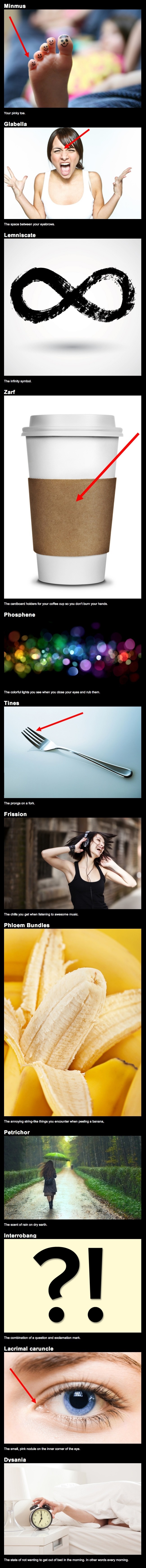 Bet you didn't know these