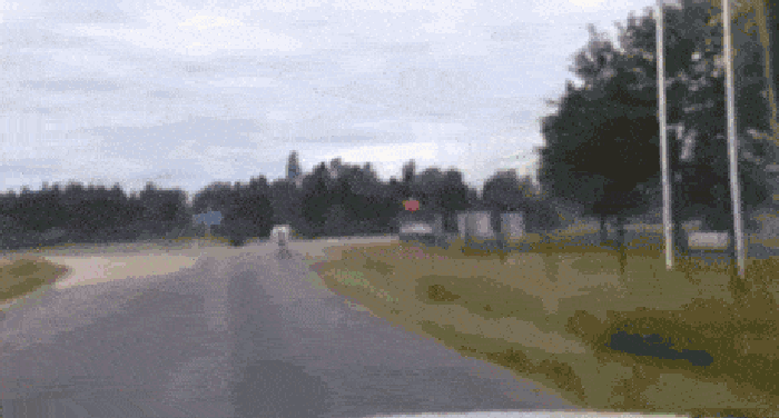 Hesitant driver won't moove