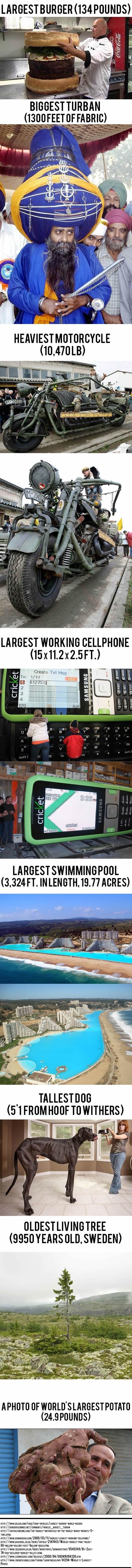 The world's largest!