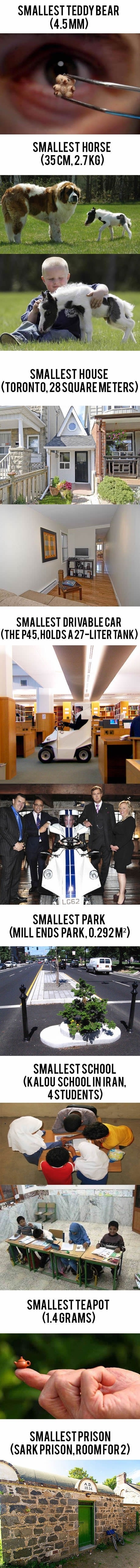 The world's smallest