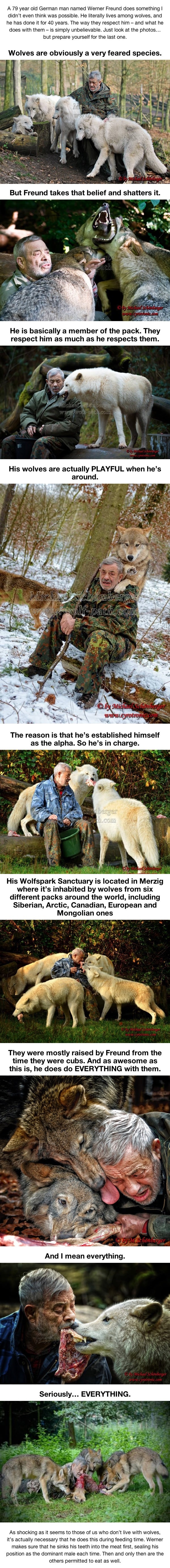 A man living among wolves
