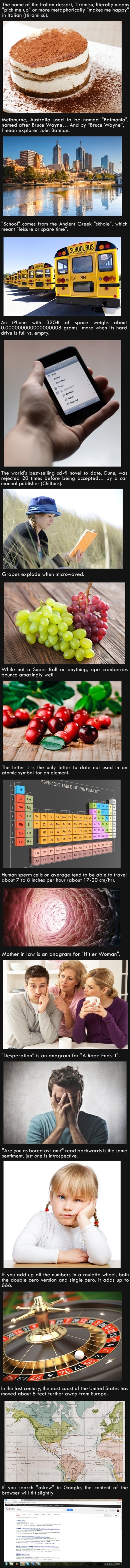 Interesting facts
