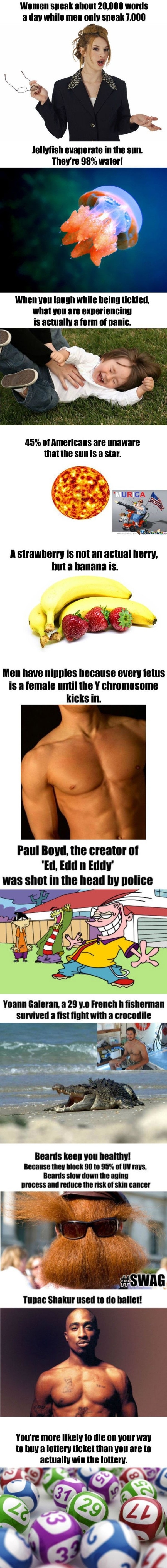 Some facts