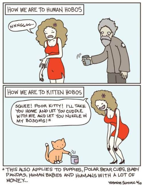 Kitten Hobos