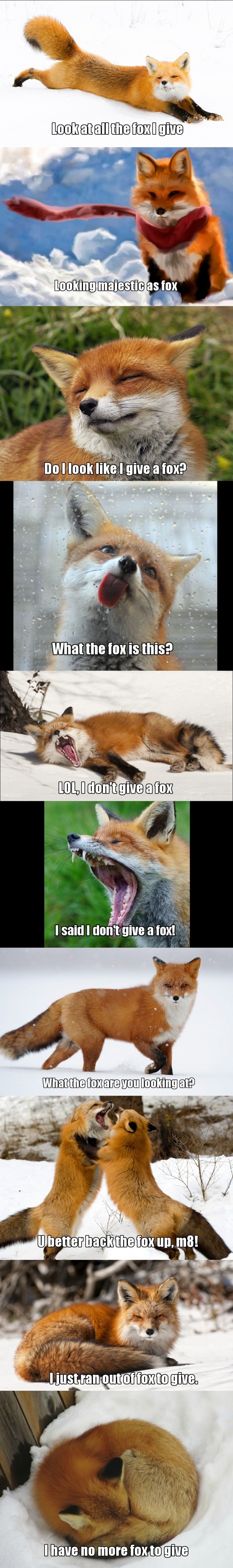 Look at all the fox I give