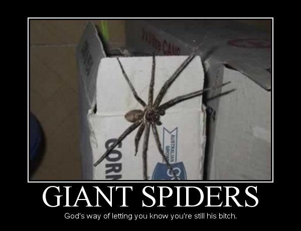 Giant Spiders