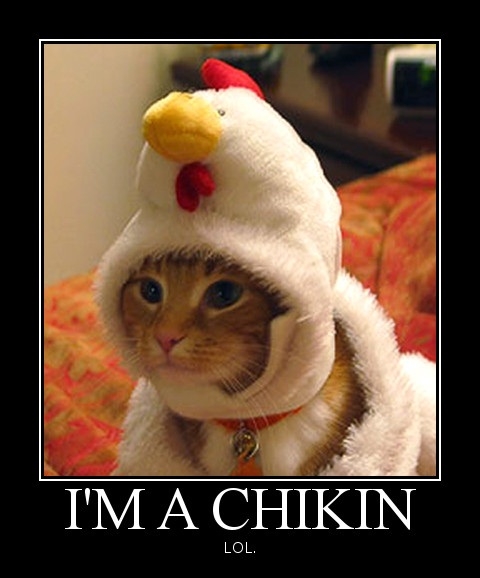 I'm a chikin