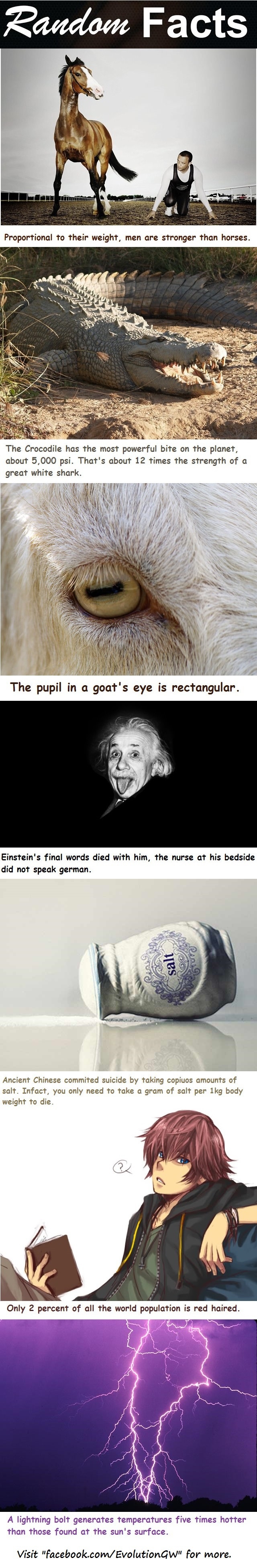 Random Facts