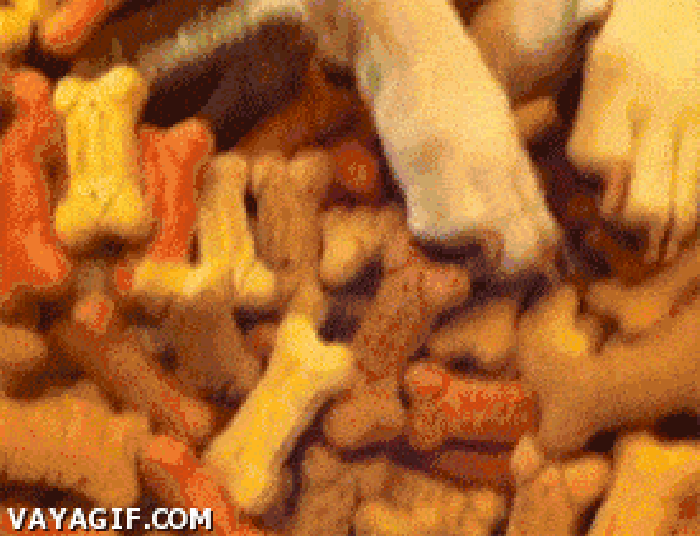 I will never be that happy