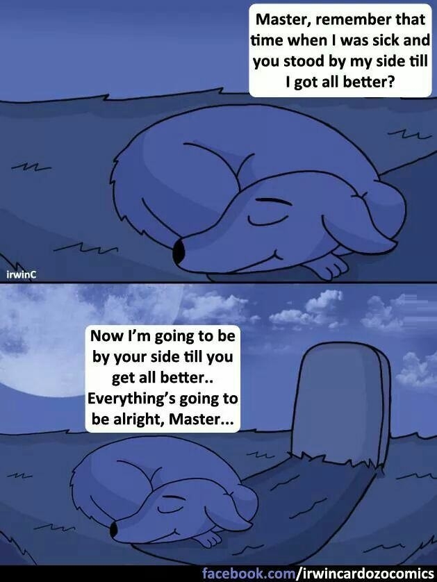 Right in the feels