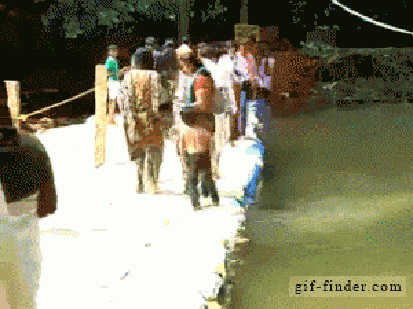 I'll save him! Uhh guys