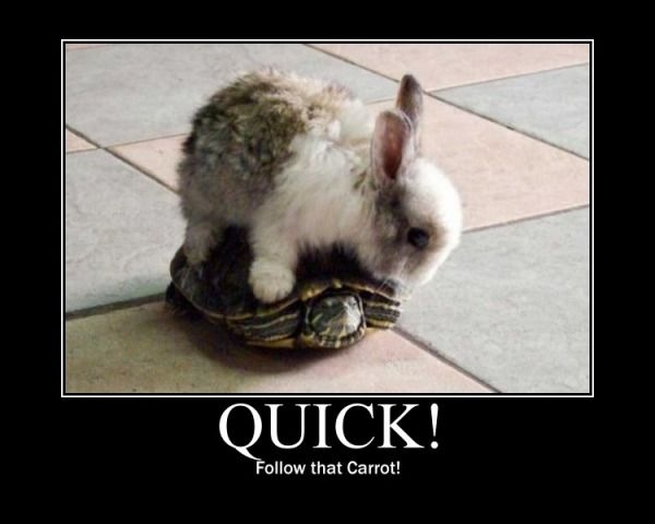 Quick!