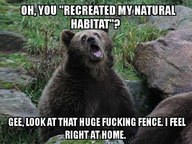 Sarcastic Captive Bear