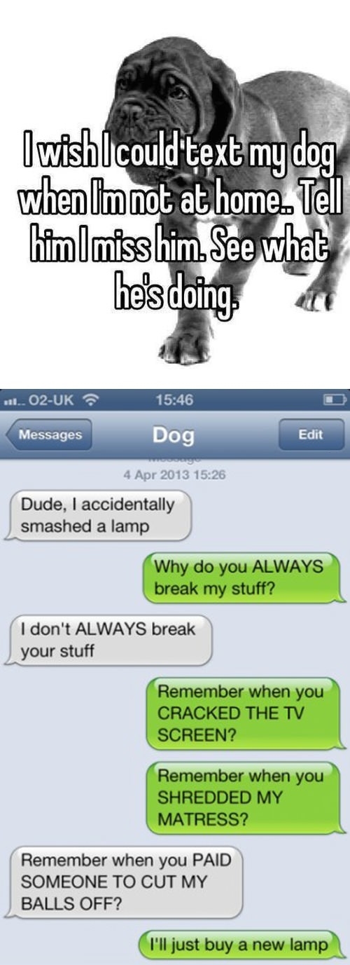 Texting dog