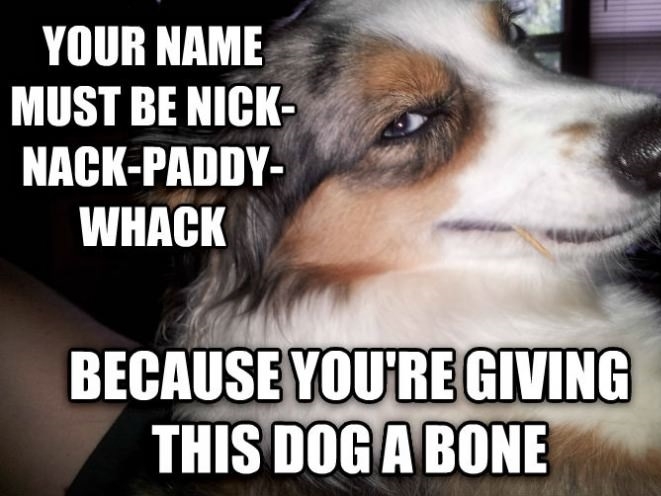 Seductive Dog