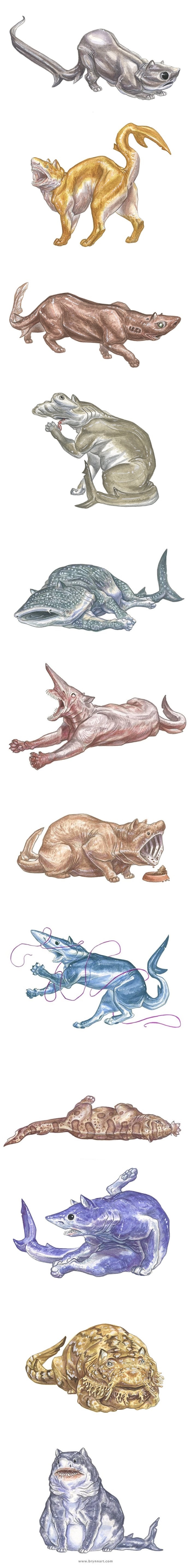 Shark Cats