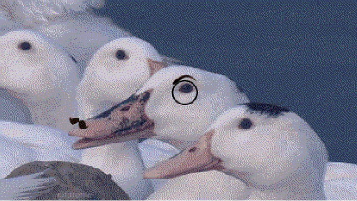 Insert evil laugh here