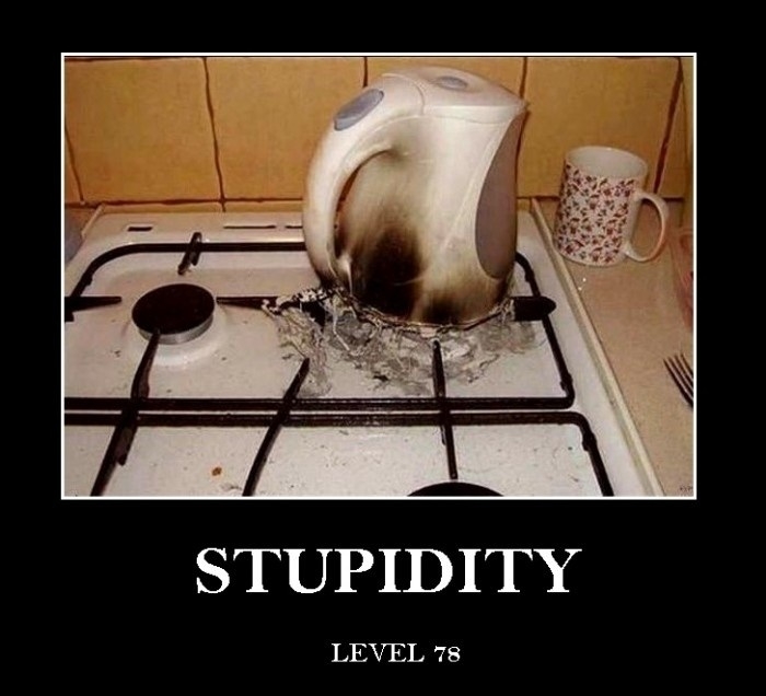 STUPIDITY