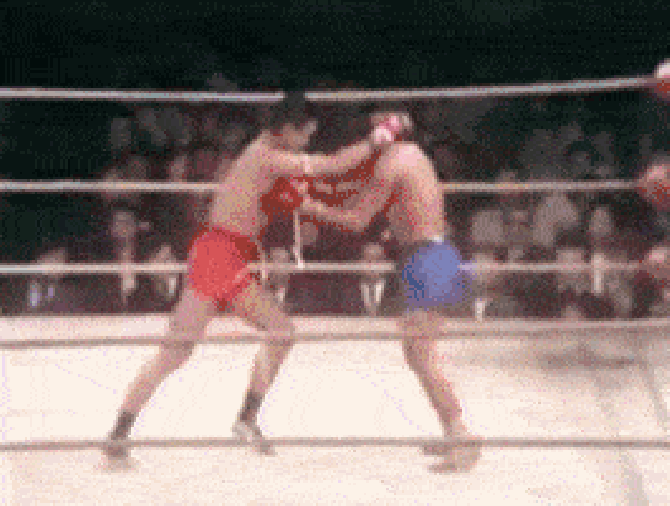 Flying knee knockout