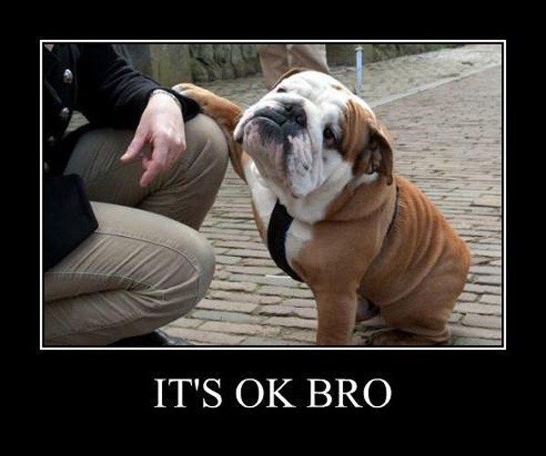 It's ok bro