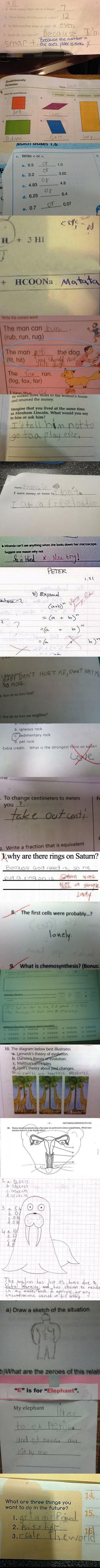 Smarta** exam answers